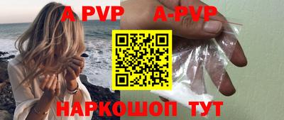 стаф Владивосток