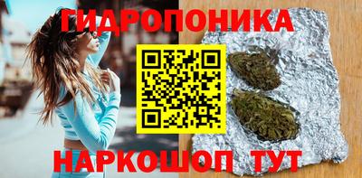 стаф Владивосток