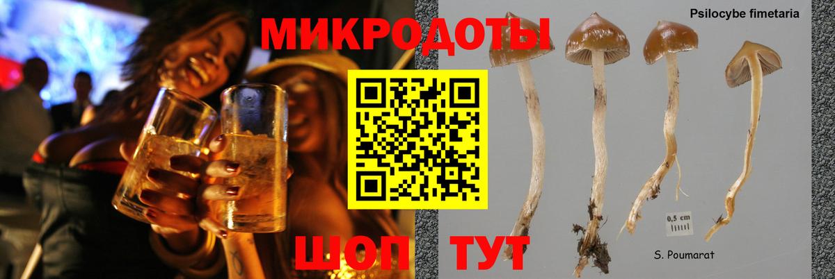 Борзя  Галлюциногенные грибы Magic Shrooms  Вход с VPN  Псилоцибиновые грибы прущие грибы 