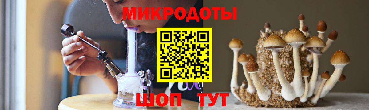 Псилоцибиновые грибы ЛСД Борзя